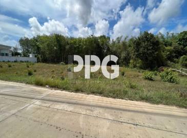 Phuket, ,Land,For Sale,2240
