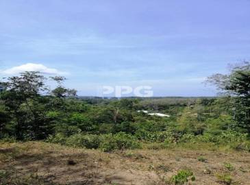 Phuket, ,ที่ดิน,SOLD,2505 Phuket, ,ที่ดิน,SOLD,2505