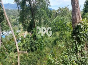 Phuket, ,Land,SOLD,2535 Phuket, ,Land,SOLD,2535